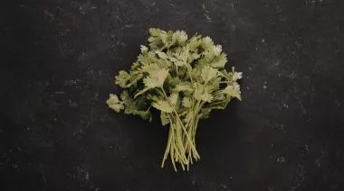 garnishing-instructions-image